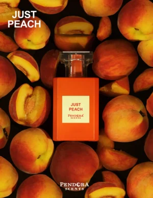 Paris Corner Just Peach Arabisches Parfum/Duftzwilling Tom Ford Bitter Peach
