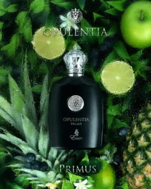 Opulentia Inverno – Arabisches Parfum/Duftzwilling von Creed Silver Mountain Water